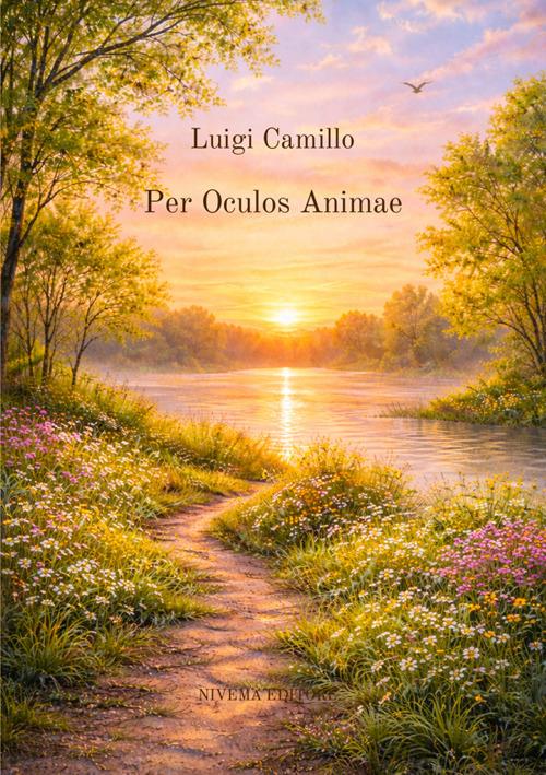 Per oculos animae - Luigi Camillo - copertina