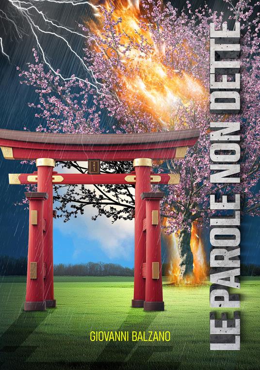 Le parole non dette - Giovanni Balzano - copertina