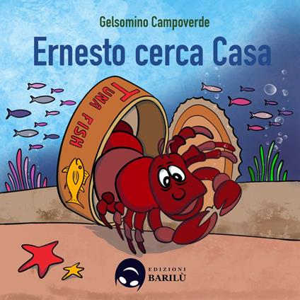 Ernesto cerca casa - Gelsomino Campoverde - copertina