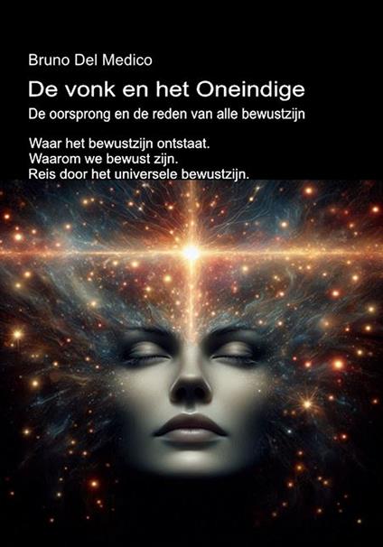 De vonk en het Oneindige. De oorsprong en de reden van alle bewustzijn. Waar het bewustzijn ontstaat. Waarom we bewust zijn. Reis door het universele bewustzijn. - Bruno Del Medico - copertina