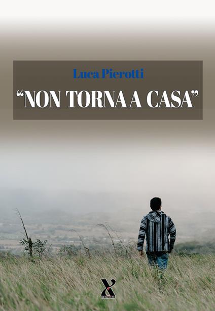 Non torna a casa - Luca Pierotti - copertina
