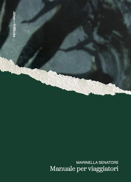 Manuale per viaggiatori - Marinella Senatore - copertina