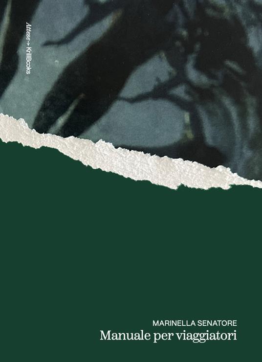 Manuale per viaggiatori - Marinella Senatore - copertina