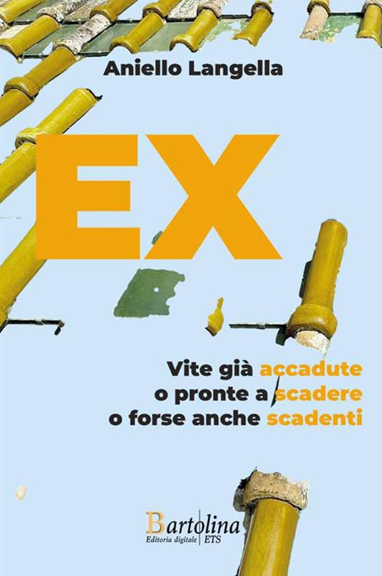 EX. Vite già accadute o pronte a scadere o forse anche scadenti - Aniello Langella - copertina