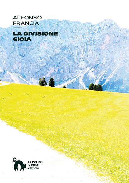 La divisione gioia - Alfonso Francia - copertina