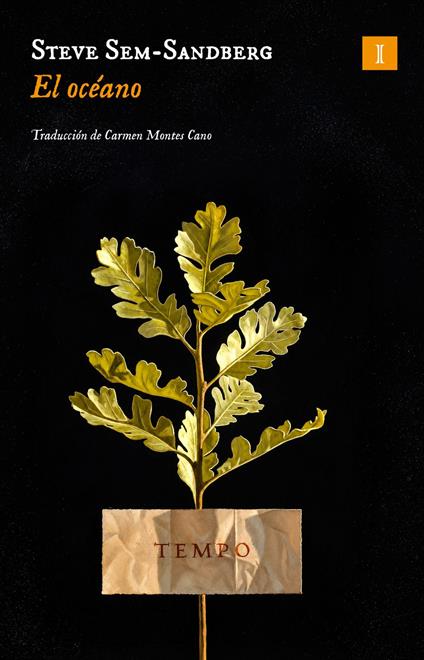 El océano