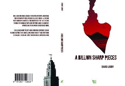 A Billion sharp pieces - David Looby - cover