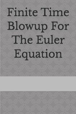Finite Time Blowup For The Euler Equation - Joni Rovio - cover