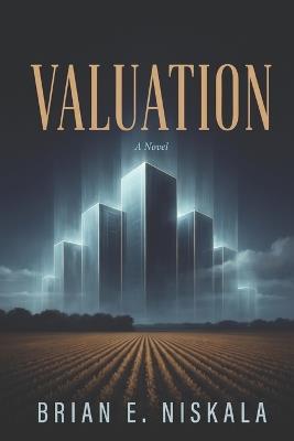 Valuation: The Way We Live Now - Brian E Niskala - cover