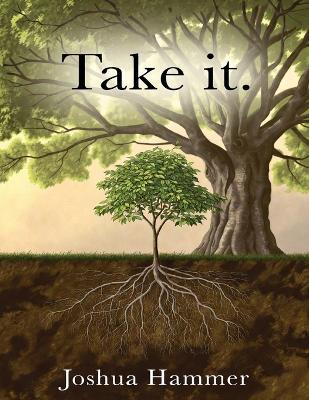 Take It! - Joshua J Hammer - cover