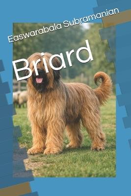 Briard - Easwarabala Subramanian - cover
