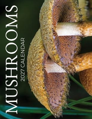Mushrooms 2027 Calendar - B Patrick - cover