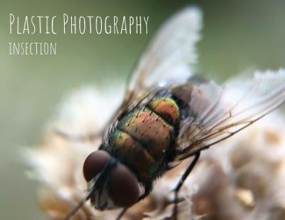Plastic Photography: Insection - Michael Andrew Lambert - cover