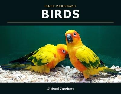 Plastic Photography: Birds - Michael Andrew Lambert - cover