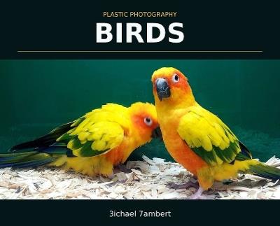 Plastic Photography: Birds - Michael Andrew Lambert - cover