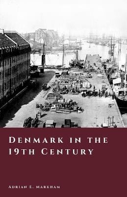 Denmark in the 19th Century: Loss, Reform, and National Identity - Adrian E Markham - cover