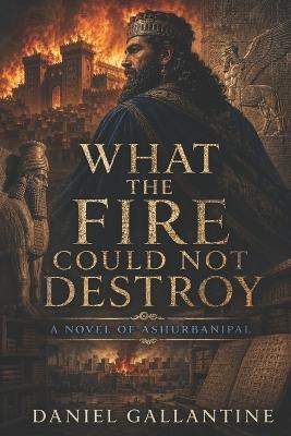 What the Fire Could Not Destroy: A Novel of Ashurbanipal - Daniel Gallantine - cover