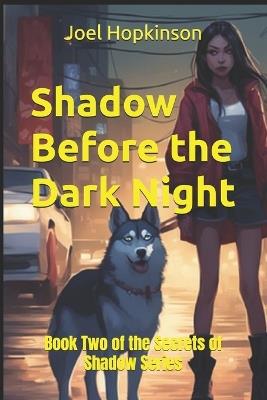Shadow Before the Dark Night: Book Two of the Secrets of Shadow Series - Joel Hopkinson - cover