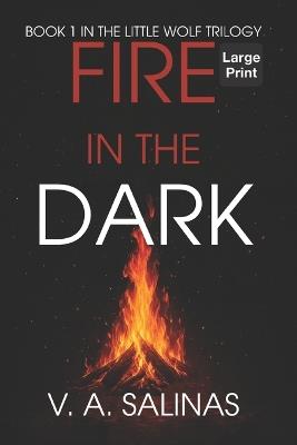 Fire in the Dark (LARGE PRINT) - V A Salinas - cover