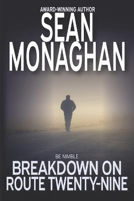 Breakdown On Route Twenty-Nine - Sean Monaghan - cover