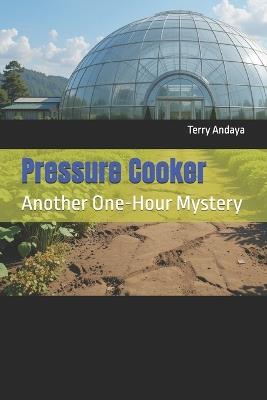 Pressure Cooker - Terry Andaya - cover