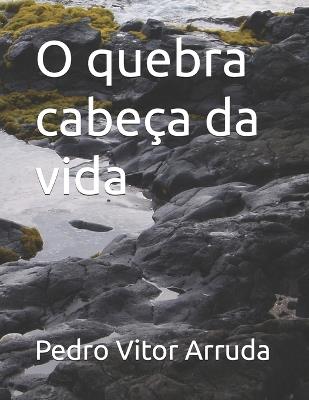 O quebra cabeça da vida - Pedro Vitor Arruda - cover
