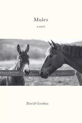Mules - David Gordon - cover