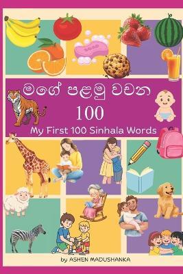 මගේ පළමු වචන 100: My First 100 Sinhala Words - Ashen Madushanka - cover
