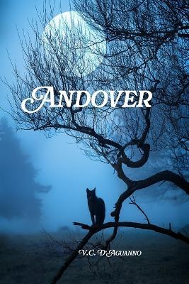 Andover - V C D'Aguanno - cover