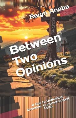 Between Two Opinions: No More Compromise - Reign Anaba - cover