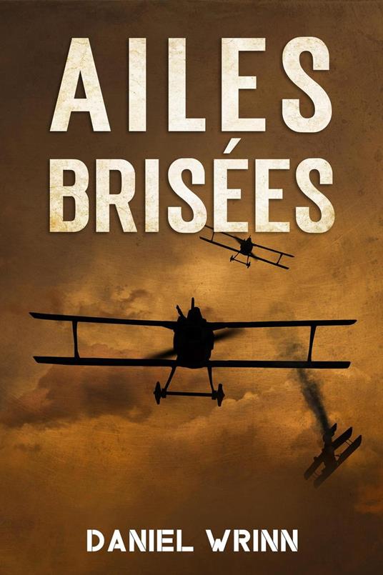 Ailes Brisées