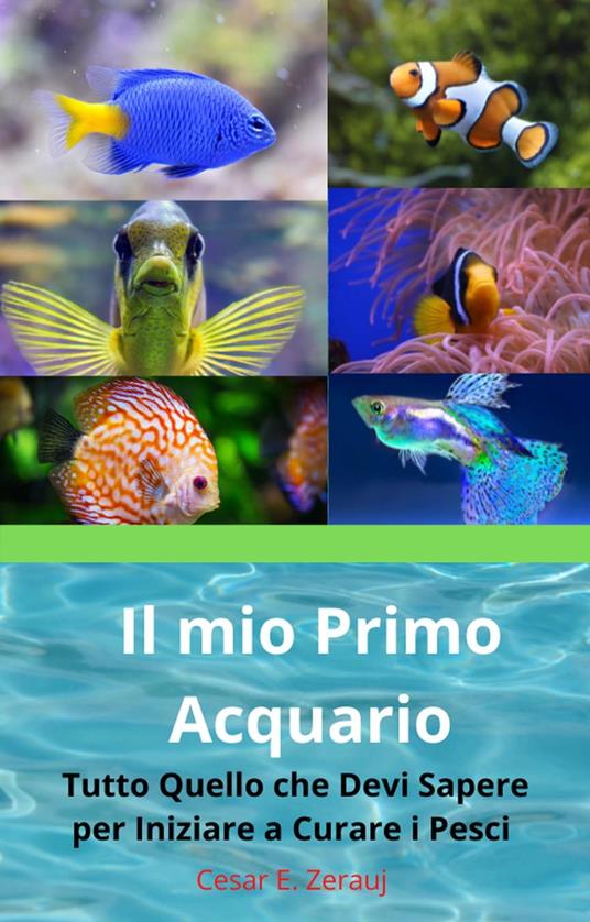 Il mio Primo Acquario Tutto Quello che Devi Sapere per Iniziare a Curare i Pesci - Cesar E. Zerauj,gustavo espinosa juarez - ebook