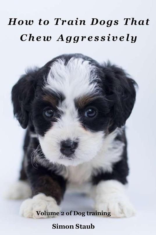 How to Train Dogs That Chew Aggressively