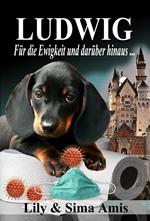 Ludwig, Für die Ewigkeit und darüber hinaus...