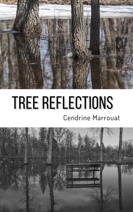 Tree Reflections