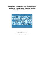 Assessing, Managing and Remediating Business' Impacts on Human Rights: A Guide for Sustainable Entrepreneurs