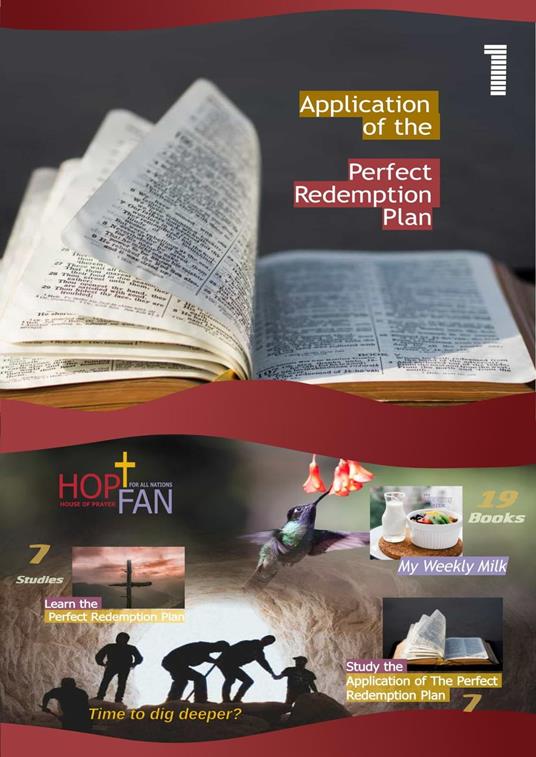 Application of the Perfect Redemption Plan 1