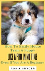 How To Easily House Train A Puppy Like A Pro In No Time Even If You Are A Beginner