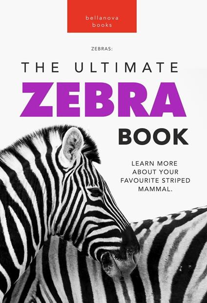 Zebras: The Ultimate Zebra Book - Jenny Kellett - ebook