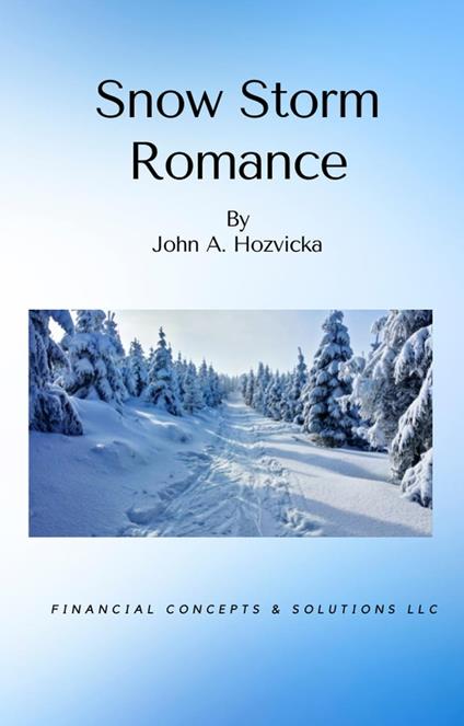 Snow Storm Romance