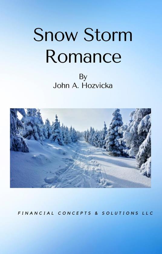 Snow Storm Romance