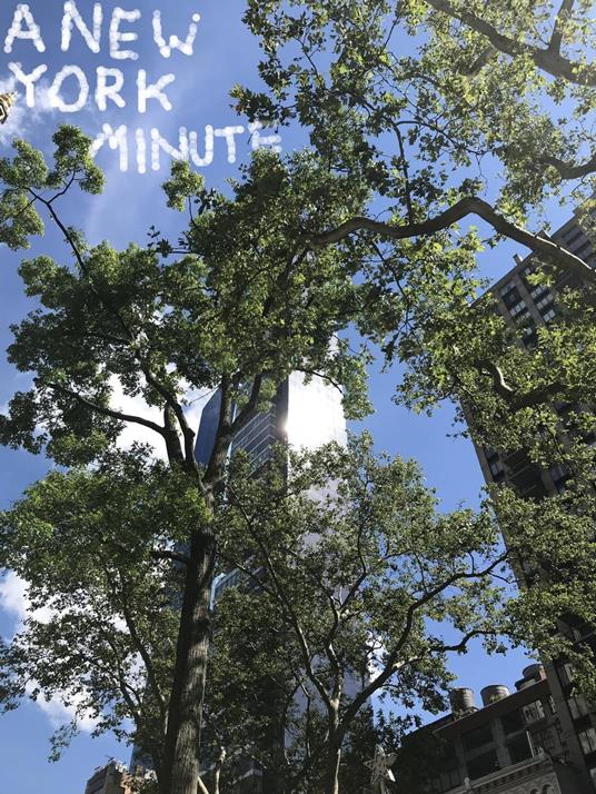 A New York Minute