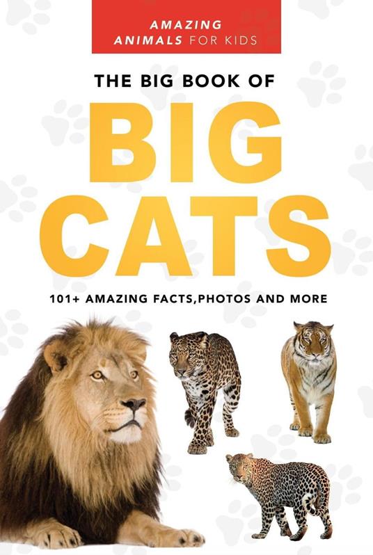 The Big Book of Big Cats - Jenny Kellett - ebook