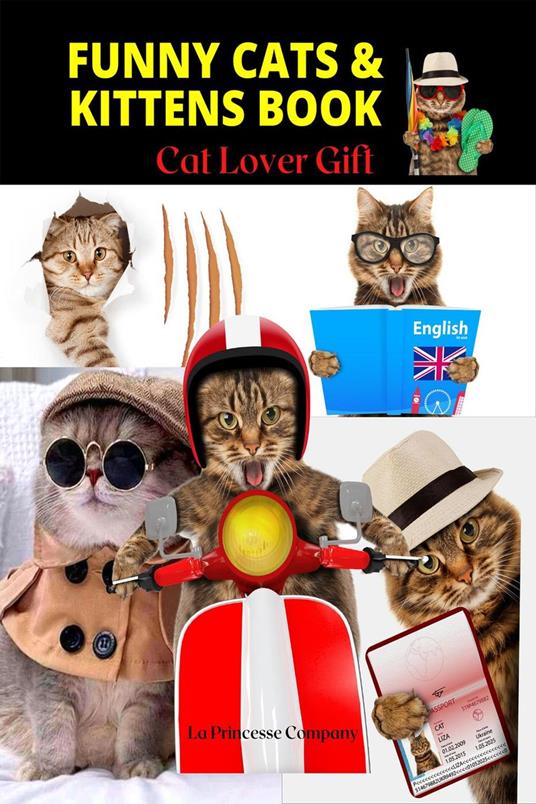Funny Cats & Kittens Book - Cat Lover Gifts