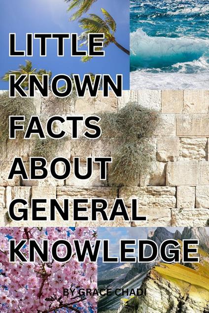 Little Known Facts About General Knowledge