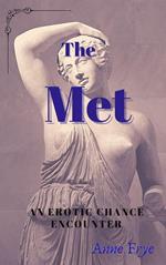 The Met: An Erotic Chance Encounter