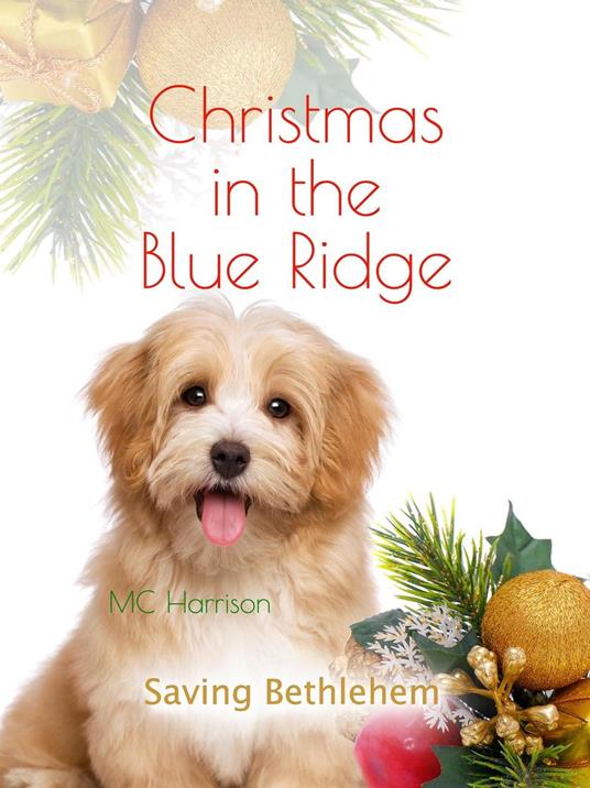 Christmas in the Blue Ridge, Saving Bethlehem