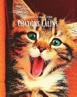 Regards curieux des Chatons Câlins: Album photo en couleur avec de magnifiques chatons. - Hayden Clayderson - cover