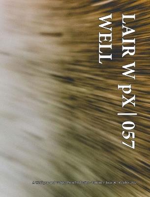 LAIR W pX 057 Well - Wetdryvac - cover