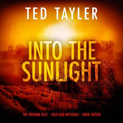 Into the Sunlight